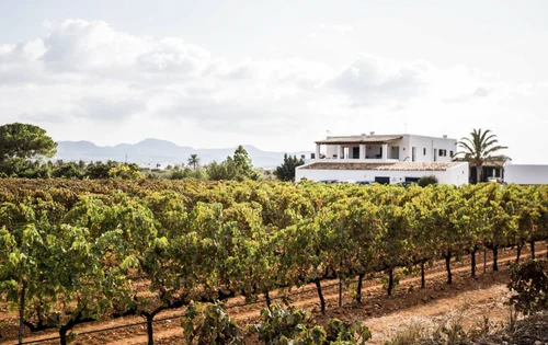 Wine tasting - Bodega Can rich